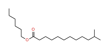 Hexyl 11-methyldodecanoate